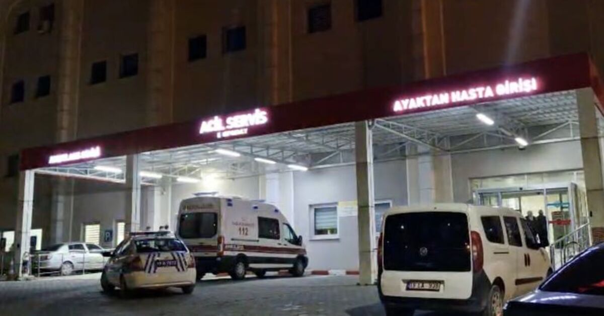 Kestiği ağaç ölümüne yol açtı